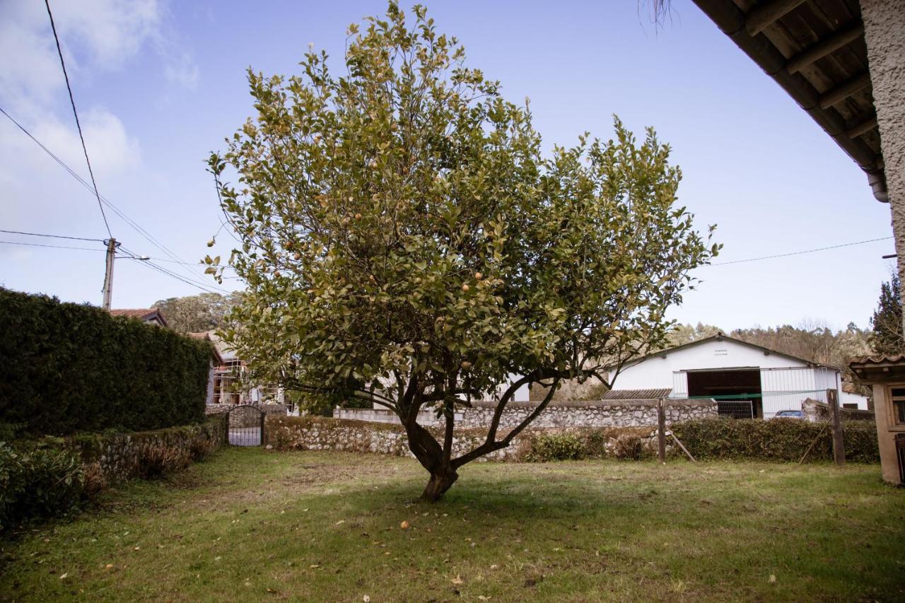 Villa El Vallau Balmori Exterior foto